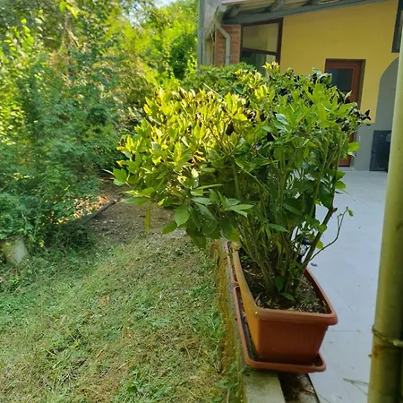 Casa Toscana With Private River 15 Min From Lucca * Borgo a Mozzano